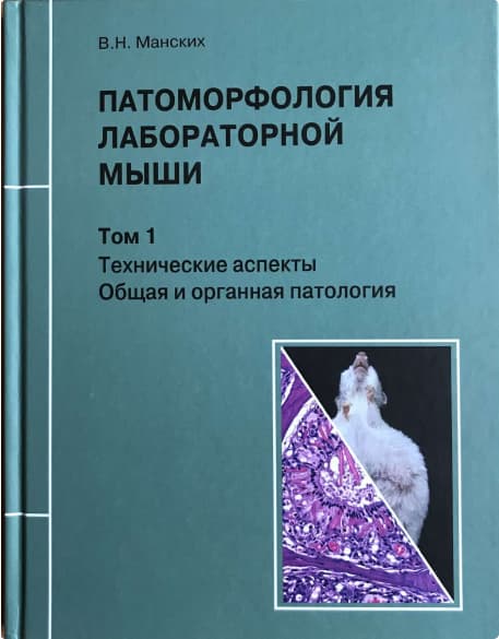 Rus Lasa