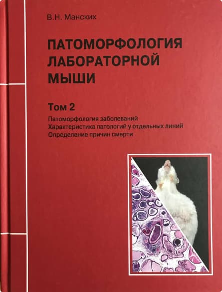 Rus Lasa