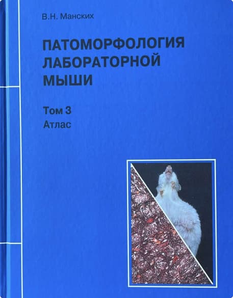 Rus Lasa